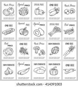 Hand drawn label set with vegetables. Vector vegetables in the old ink style. Decorative monochrome vegetables for vegan products, brochures, banner, restaurant menu and market