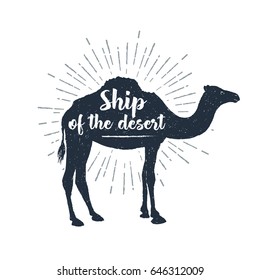 Hand drawn label with textured camel vector illustration and let