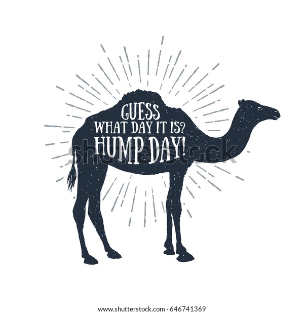 Hand drawn\
label with textured camel vector illustration and \