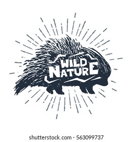 Hand drawn label with textured porcupine vector illustration and "Wild nature" inspirational lettering.