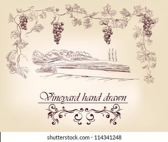 hand drawn label vineyards vector illustration  isolated