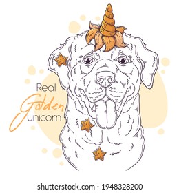 Hand drawn Labrador Retriever dog with unicorn horn Vector. Isolated objects for your design. Each object can be changed and moved.
