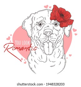 Hand drawn Labrador Retriever dog with flowers Vector. Isolated objects for your design. Each object can be changed and moved.