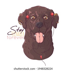 Hand drawn Labrador Retriever dog with headphones and piercings Vector. Isolated objects for your design. Each object can be changed and moved.