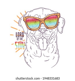 Hand drawn Labrador Retriever dog with glasses Vector. Isolated objects for your design. Each object can be changed and moved.