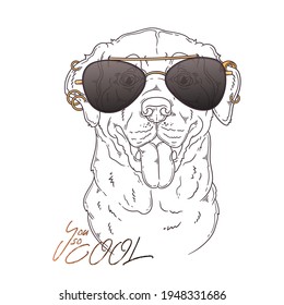 Hand drawn Labrador Retriever dog with glasses Vector. Isolated objects for your design. Each object can be changed and moved.