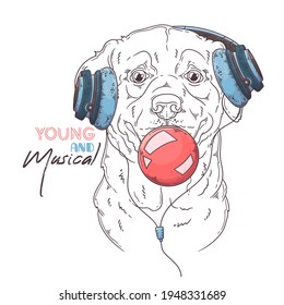Hand drawn Labrador Retriever dog inflates a bubble gum Vector. Isolated objects for your design. Each object can be changed and moved.