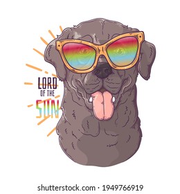 Hand drawn Labrador Retriever dog with glasses Vector. Isolated objects for your design. Each object can be changed and moved.