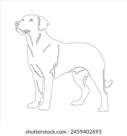 
Dibujado a mano Labrador Retriever perro contorno ilustración