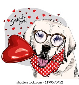 Hand drawn labrador retriever with heart shape baloon. Vector Valentine day greeting card. Cute colorful dog wears glasses, bandana. Romantic design. Lovely pet portrait. Poster, banner. Spread love.