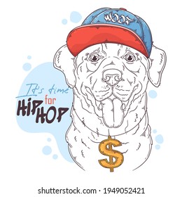 Hand drawn Labrador Retriever rapper dog Vector. Isolated objects for your design. Each object can be changed and moved.