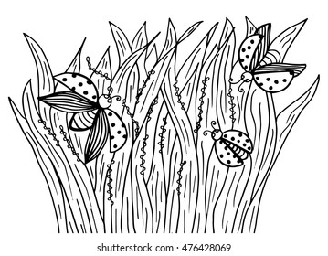 Hand drawn ladybug at garden