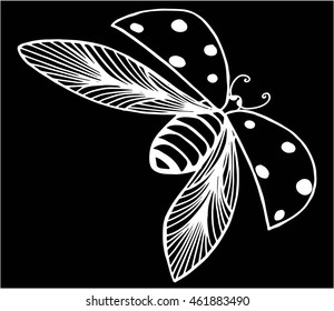 Hand drawn ladybug illustration