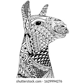 Hand drawn lama. Vector zentangle style for coloring book.