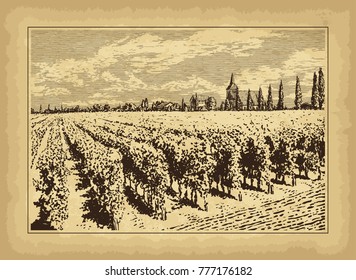 Hand drawn landscape. Antique house, garden, vineyard. Old craft paper texture. Abstract nature background. Template for your design works. Engraved style vector illustration.