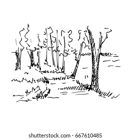 Hand drawn landscape with forest and lake. Sketch, vector illustration.