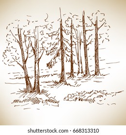 Hand drawn landscape with forest. Sketch, vector illustration.