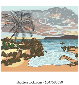 Hand drawn landscape with silhouette palm tree on beach under sunset sky background. Nature concept.