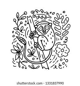 Hand drawn lanier doodle style illustration of Philippine Tarsier with flowers and leaves elements. Vector coloring book.