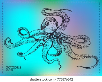 Hand drawn large marine octopus 
