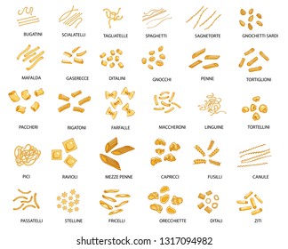 Hand drawn large set of different types of Italian pasta with names. Vector illustration. Isolated on white, colored.