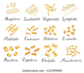 Hand drawn large set of different types of Italian pasta with names. Vector illustration. Isolated on white, colored.