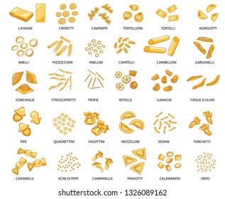 Hand drawn large set of different types of Italian pasta with names. Vector illustration. Isolated on white, colored.