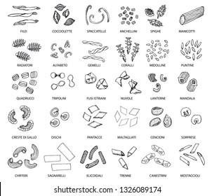 Hand drawn large set of different types of Italian pasta with names. Vector linear illustration. Isolated on white, monochrome.