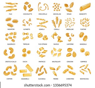 Hand drawn large set of different types of Italian pasta with names. Vector illustration. Isolated on white, colored.