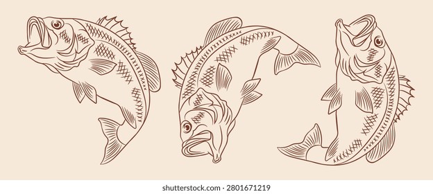 hand drawn largemouth bass fish engraving style vector illustration set