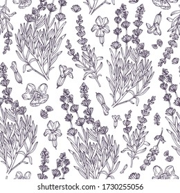 Hand drawn lavander pattern. Sketch background in vintage style. For textiles, advertising, packaging, cosmetics, aromatherapy, medicine.