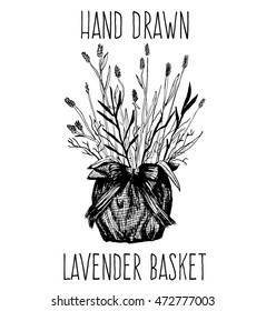 Hand drawn Lavender Basket