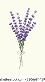 Hand drawn Lavender Bouquet  Continuous line drawing summer Flowers  Floral background  Vector Template for greeting card  invitation