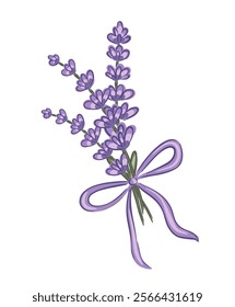 Hand drawn lavender bouquet with a ribbon, showcasing delicate details and vibrant colors isolated on white