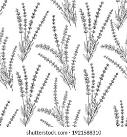 Hand drawn lavender branch and flowers outline seamless pattern. Doodle drawing spicy herbs. Kitchen background. Hand drawn seasoning. Vector illustration