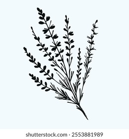 Hand drawn lavender branch. Vector illustration in doodle style. flowers isolated on white, branch of lavender, flowers vector illustration of exotic flower, black and white flower