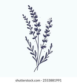 Hand drawn lavender branch. Vector illustration in doodle style. flowers isolated on white, branch of lavender, flowers vector illustration of exotic flower, black and white flower
