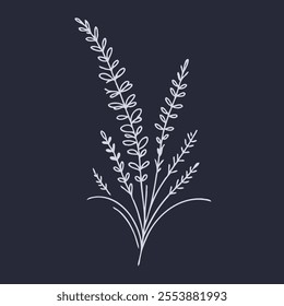 Hand drawn lavender branch. Vector illustration in doodle style. flowers isolated on white, branch of lavender, flowers vector illustration of exotic flower, black and white flower