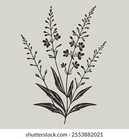 Hand drawn lavender branch. Vector illustration in doodle style. flowers isolated on white, branch of lavender, flowers vector illustration of exotic flower, black and white flower