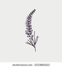 Hand drawn lavender branch. Vector illustration in doodle style. flowers isolated on white, branch of lavender, flowers vector illustration of exotic flower, black and white flower