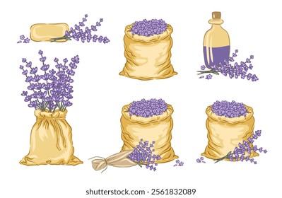 Hand drawn lavender collection featuring sacks, flowers, and an essential oil bottle