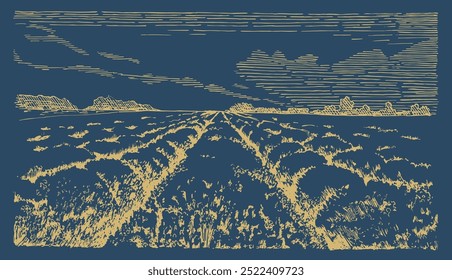 Handgezeichnetes Lavendelfeld. Monochrome Landschaftsdarstellung in Vektorgrafik umgewandelt.