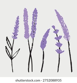 Hand drawn lavender flower stems, perfect for botanical guides, aromatherapy packaging, spa branding, wellness decor, and floral stationery. Vector sketch illustration in vintage crayon charcoal style