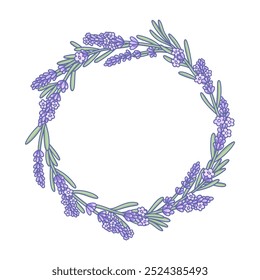 Coroa de flores de lavanda desenhada à mão, ilustração vetorial isolada sobre fundo branco. Desenho botânico colorido em estilo Provença com lavanda de ervas