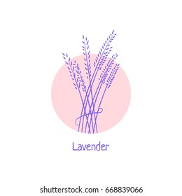 hand drawn lavender logo isolated on white. concept of aroma symbol for natural eco pharmacy or brand sign for floral store. simple sketch style trend modern logotype in circle graphic art design