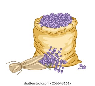 Hand drawn lavender sack filled with fragrant purple flowers and a tied bundle on the side