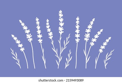 Hand drawn lavender silhouettes on blue background