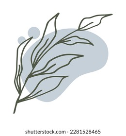 Hand drawn leaf with an aesthetic shape or aesthetic blob simple decoration