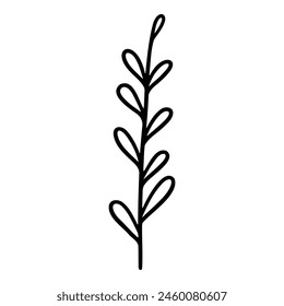 Hand drawn leaf of ash tree. Vector illustration.