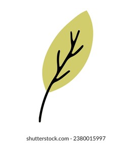 Hand drawn leaf for autumn design